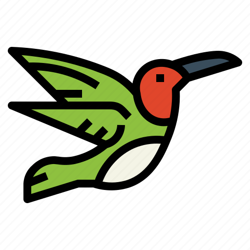 Hummingbird, animal, poultry, wildlife, bird icon - Download on Iconfinder