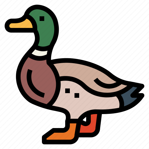 Duck, animal, farm, poultry, mallard icon - Download on Iconfinder