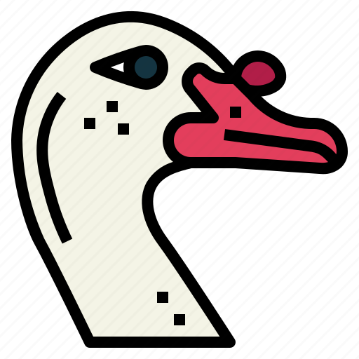 Duck, animal, poultry, farm, muscovy icon - Download on Iconfinder