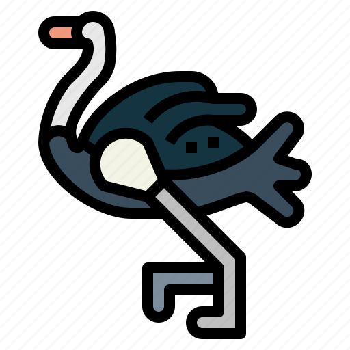 Ostrich, animal, poultry, wildlife, bird icon - Download on Iconfinder