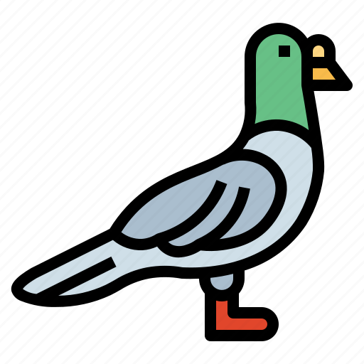 Rock, animal, poultry, bird, pigeon icon - Download on Iconfinder