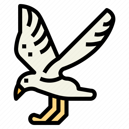 Animal, poultry, seagull, bird, wildlife icon - Download on Iconfinder