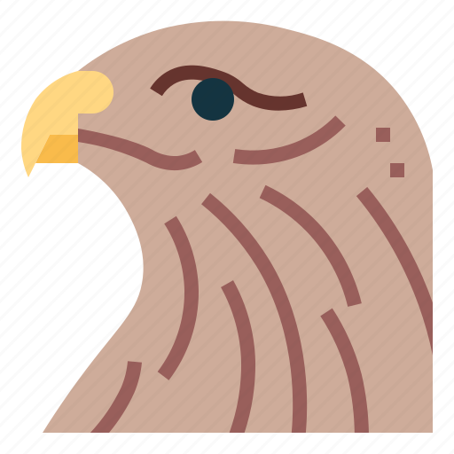 Buzzard, wildlife, eagle, animal, bird icon - Download on Iconfinder