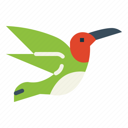 Wildlife, hummingbird, animal, bird, poultry icon - Download on Iconfinder