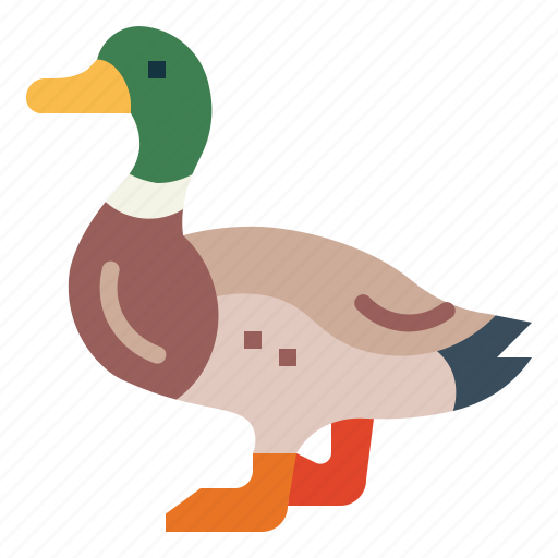 Duck, farm, animal, mallard, poultry icon - Download on Iconfinder