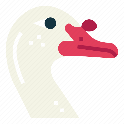 Duck, muscovy, farm, animal, poultry icon - Download on Iconfinder