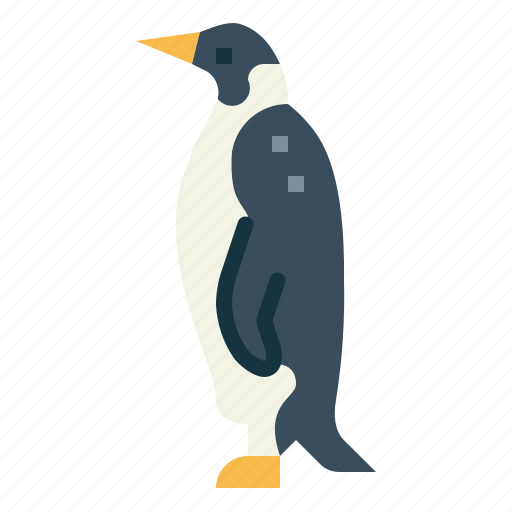 Penguin, poultry, animal, bird, antarctic icon - Download on Iconfinder