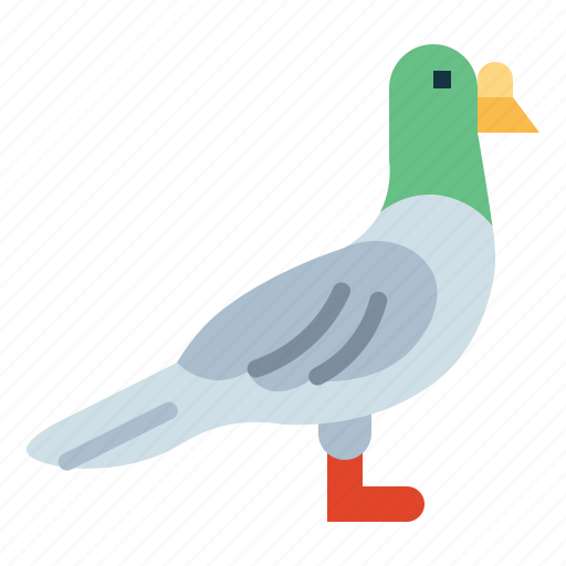 Rock, poultry, animal, bird, pigeon icon - Download on Iconfinder