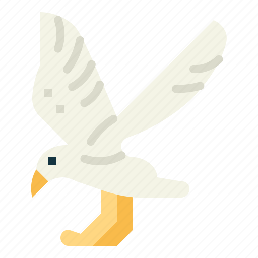 Wildlife, seagull, animal, bird, poultry icon - Download on Iconfinder