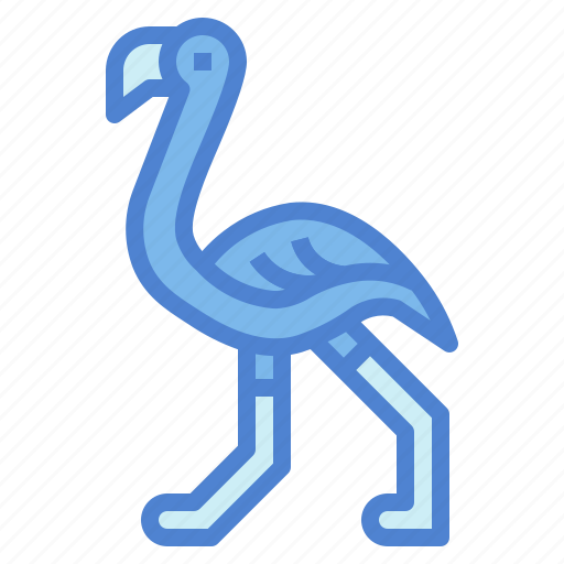 Animal, poultry, wildlife, flamingo, bird icon - Download on Iconfinder