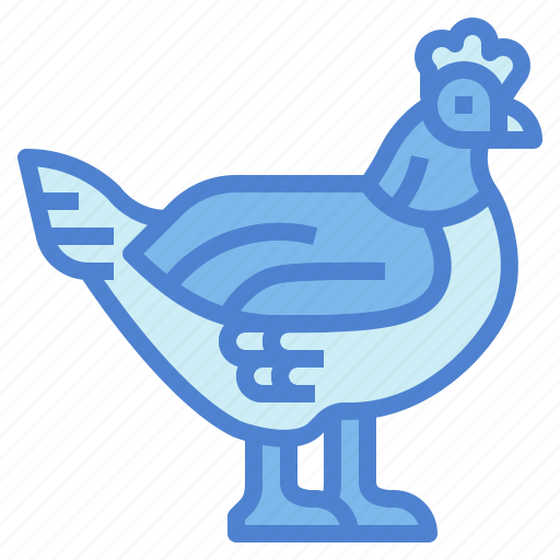 Animal, hen, farm, poutry, chicken icon - Download on Iconfinder