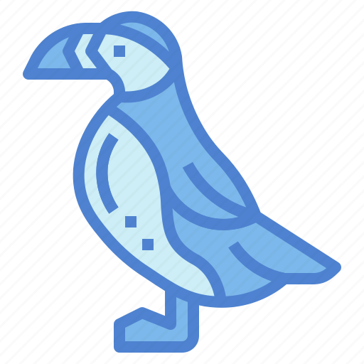 Animal, wildlife, poultry, puffin, bird icon - Download on Iconfinder
