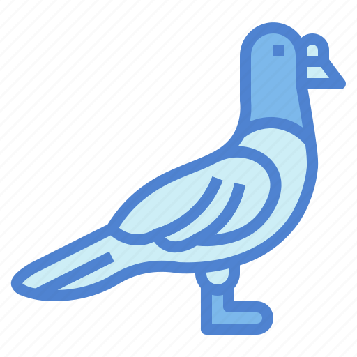 Animal, rock, poultry, pigeon, bird icon - Download on Iconfinder