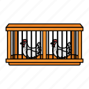hens cage, chicken cage, chicken, hen, rooster
