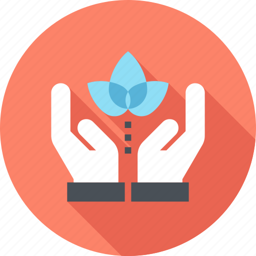 Conservation, ecology, environment, hands, nature, plant, protection icon - Download on Iconfinder