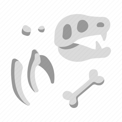 Bone, dinosaur, extinct, fossil, museum icon - Download on Iconfinder
