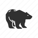 animal, bear, bear marketing, stock marketing
