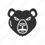 animal, bear, bear market, stock market 