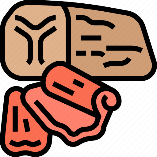 Beef, dried, smoked, tasty, protein icon - Download on Iconfinder