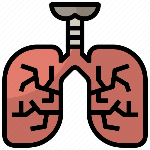 Anatomy, breath, healthcare, lung, lungs, medical, organ icon - Download on Iconfinder