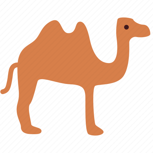 Camel, desert, animal, ramadan icon - Download on Iconfinder