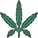 cannabis, marijuana, drug, addiction, herb