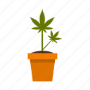 cannabis, drug, growing, herb, marijuana, plant, pot