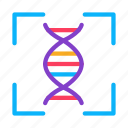 dna, human, person, recognition, testing