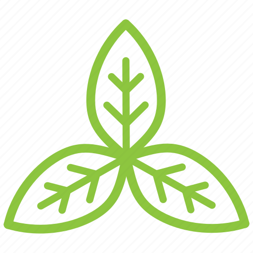 Eco, ecology, leaf, organic, recycle icon - Download on Iconfinder