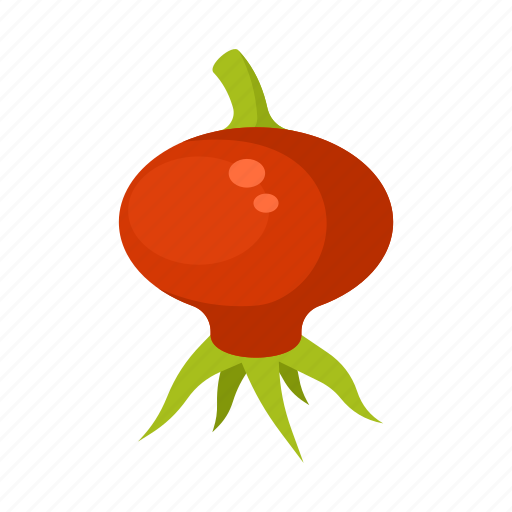Berry, food, fruit, red, rosehip, vegetable icon - Download on Iconfinder