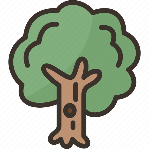 Tree, forest, woods, plant, environment icon - Download on Iconfinder