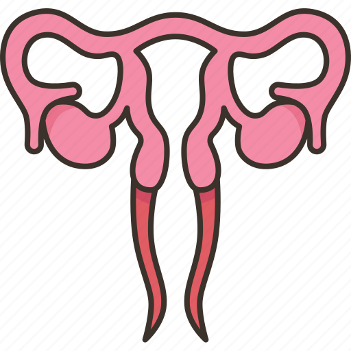 Reproductive, human, ovary, anatomy, gynecology icon - Download on Iconfinder