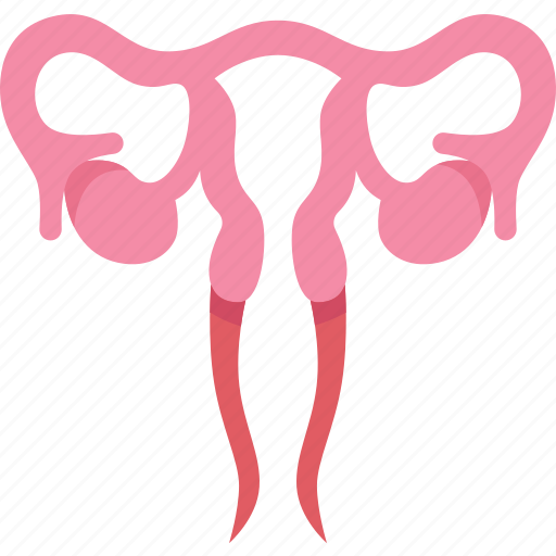 Reproductive, human, ovary, anatomy, gynecology icon - Download on Iconfinder