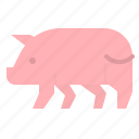 animal, farm, ham, pig, pork