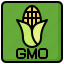gmo, corn, plant, agriculture, food, restaurant, farming 