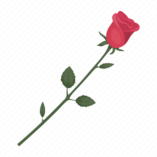 Flower, freshness, gift, love, plant, rose icon - Download on Iconfinder