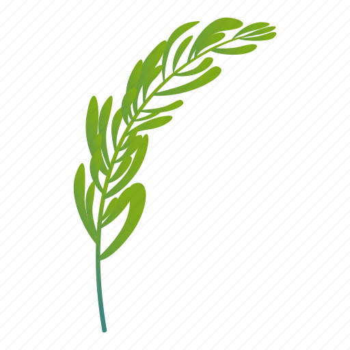 Rosemary, fresh icon - Download on Iconfinder on Iconfinder
