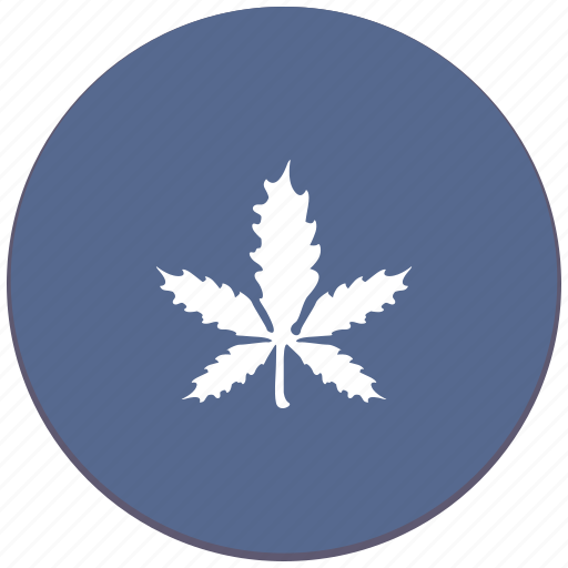 Canabis, drug, leaf, plant icon - Download on Iconfinder