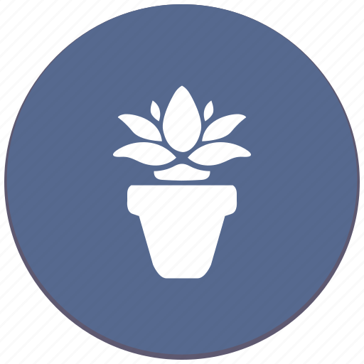 Calendula, flower, home, plant icon - Download on Iconfinder