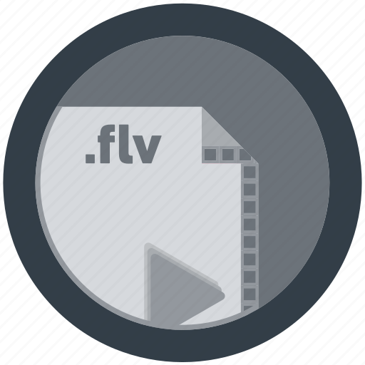 Document, extension, file, flv, format, round, roundettes icon - Download on Iconfinder