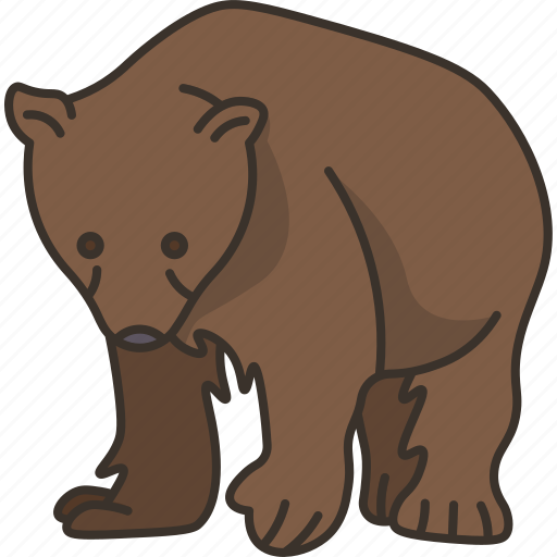 Bear, wildlife, animal, forest, nature icon - Download on Iconfinder