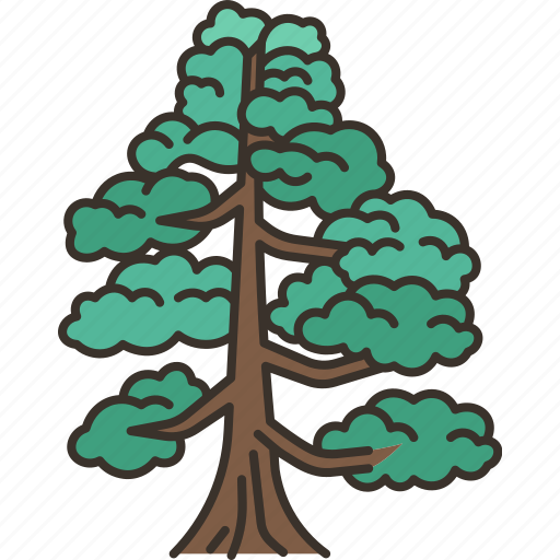 Pine, tree, plant, forest, nature icon - Download on Iconfinder