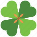 clover, ireland, irish, leaf, nature, saint patrick, shamrock