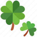 clover, clovers, ireland, irish, nature, saint patrick, shamrock