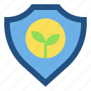 shield, protection, growth, leaf, ecology, plant