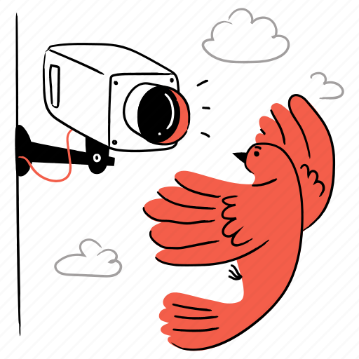Security, surveillance, camera, video, media, bird, animal illustration - Download on Iconfinder