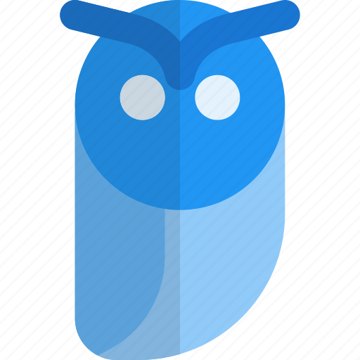 Owl, education, school icon - Download on Iconfinder