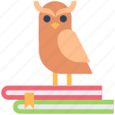 animal, bird, book, books, education, owl, wisdom