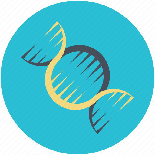 Cell, dna, dna helix, dna strand, genetic icon - Download on Iconfinder