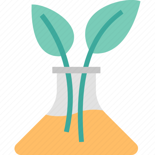Science, biology, ecology, flask, plant, research icon - Download on Iconfinder
